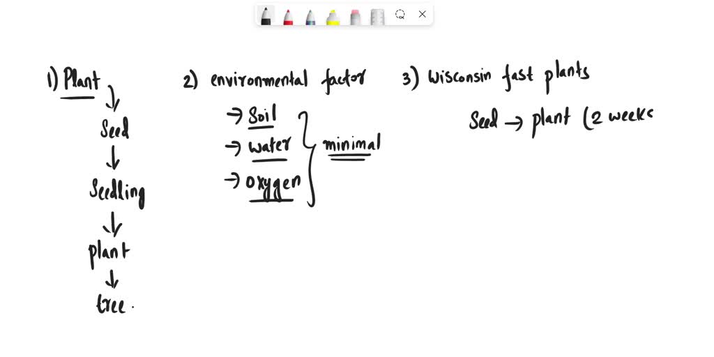 SOLVED The Chemistry of Germination of a seed 1. Why is germination of a seed a chemical change