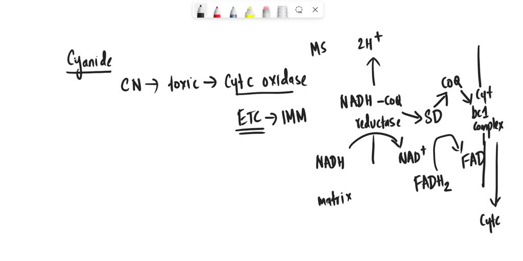 SOLVED In detective novels, "the odor of bitter almonds" is always the