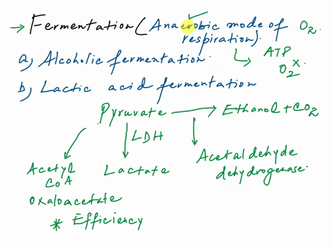 which-of-the-following-describes-a-purpose-of-fermentation-to-produce-ethanol-and-lactate-that-can-subsequently-be-converted-to-pyruvate-to-replenish-the-supply-of-nadt-consumed-during-glyco-03745