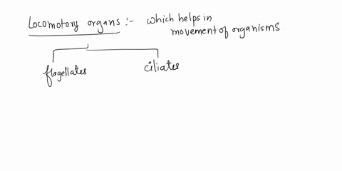 how-are-flagella-and-cilia-alike-a-both-help-to-produce-enrgy-b-they-break-down-substances-c-they-assist-with-movement-d-both-are-for-storage-of-cellar-materials-72155