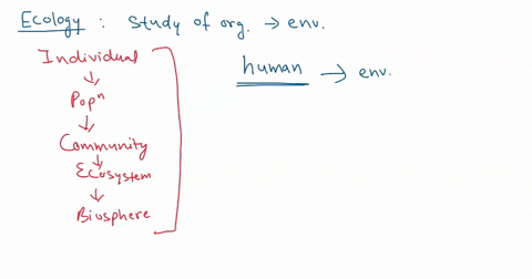 i-need-heelp-in-solving-the-multiple-choice-questions-asap-please-thank-you-1-true-or-false-ecology-is-defined-as-the-study-of-the-impact-of-human-activity-on-the-environment-true-false-2-an-95035