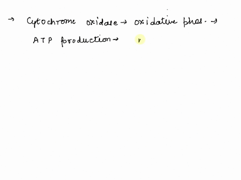 louis-pasteur-observed-that-when-oxygen-is-introduced-t0-cells-consuming-glucose-at-high-rate-in-an-anaerobic-environment-fermentalion-ceases-and-the-rate-ol-glucose-consumption-decreases-th-01465