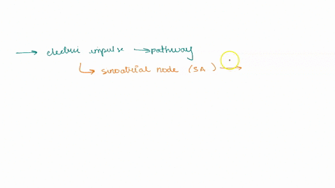 question-75-0f-100-what-correct-order-the-pathway-alng-whlch-excltation-moves-through-utc-heart-sa-node-purkinje-fibers-av-node-bundle-of-his-bundle-of-his-av-node-purkinje-fibers-sa-node-sa-31265