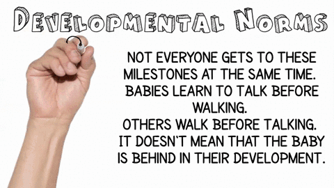 developmental-norms-a-can-be-used-to-make-extremely-precise-predictions-about-the-age-at-which-an-2-03913
