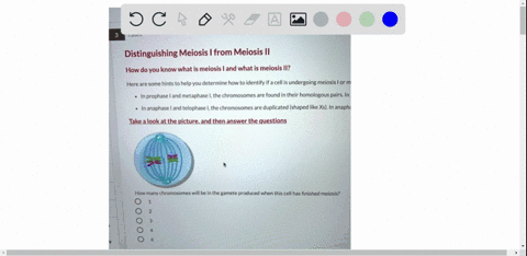 1point-distinguishing-meiosis-from-meiosis-ii-how-do-you-know-what-is-meiosis-and-what-is-meiosis-ii-here-arc-some-hints-to-help-you-determine-how-to-identify-if-acell-is-undergoing-meiosis-70452
