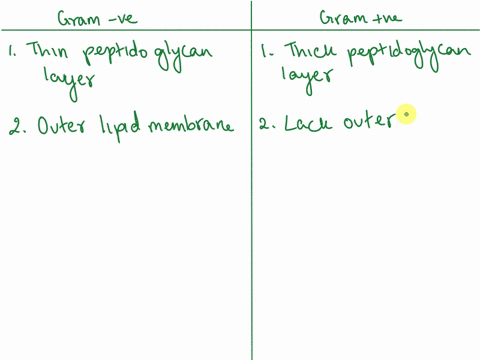 what-is-the-difference-between-gram-positive-and-gram-negative-cell-what-is-gram-stain-53286