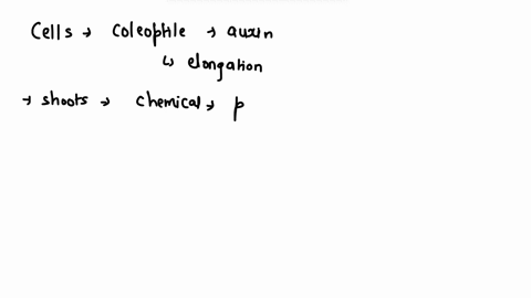 in-our-lectures-and-chapter-readings-we-learned-about-the-experiments-conducted-by-frits-went-and-charles-and-francis-darwin-on-plant-phototropism-which-of-the-following-is-a-conclusion-that-66393