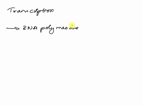 pregunta-29-sin-rosponder-in-eukaryotas-general-transcription-factors-seleccione-una-punqua-con-0-100-usually-lead-t0-high-level-ol-transcription-even-without-additional-specific-transcripti-50768