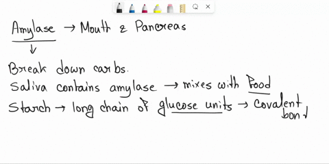 amylase-is-an-enzyme-that-converts-carbohydrate-polymers-into-monomers-glycogen-synthase-is-one-of-the-enzymes-involved-in-converting-carbohydrate-monomers-into-polymers-which-of-the-followi-57922