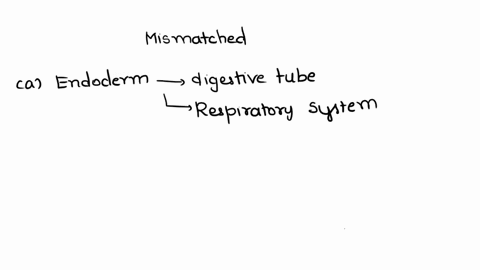 which-of-the-following-are-mismatched-a-endoderm-lining-of-the-digestive-tube-b-ectoderm-circulato-4-33884