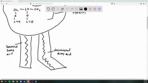 if-incorporated-into-a-phospholipid-which-fatty-acid-listed-below-would-provide-the-highest-mobility-to-the-phospholipid-a-15-carbons-with-two-double-bonds-b-16-carbons-with-no-double-bonds-22086