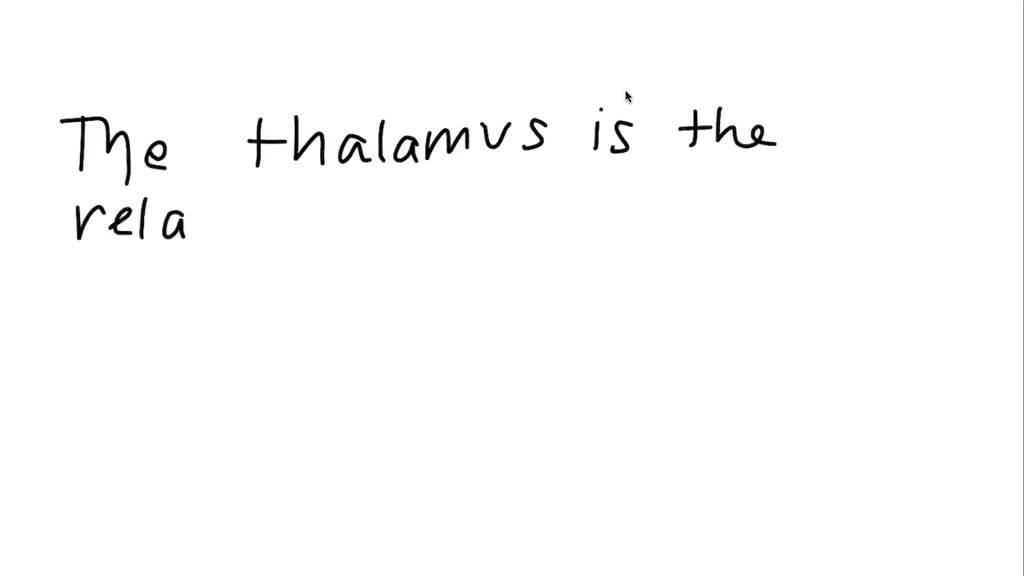 SOLVED Your psychology professor refers to this as the great relay