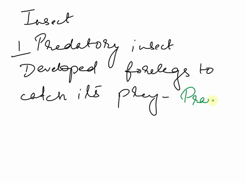 answer-i-question-ok-plese-quick-ictures-jd-tick-the-corred-tuswer-am-predatory-insect-lunge-forwardl-with-rrelegs-i-to-catch-my-prey-what-am-spider-b-praying-mantis-goliath-beetle-d-lice-im-60968