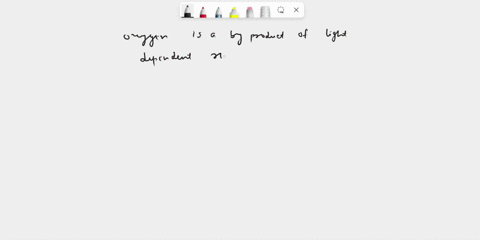 which-molecule-is-produced-during-the-light-reactions-of-photosynthesis-02-co2-c6h1206-adp-18954