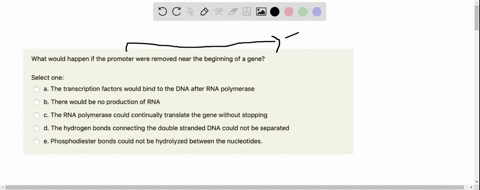 what-would-happen-if-the-promoter-were-removed-near-the-beginning-of-a-gene-select-one-a-the-transcription-factors-would-bind-to-the-dna-after-rna-polymerase-b-there-would-be-no-production-o-42895