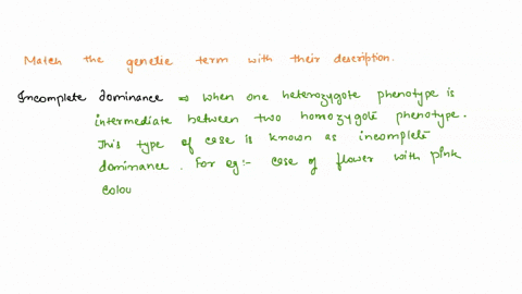 match-the-genetic-term-with-the-best-description-incomplete-dominance-phenotype-of-the-heterozygot-codominance-both-alleles-are-cqually-expret-pleiotropy-single-bene-can-have-multipl-epistas-24148