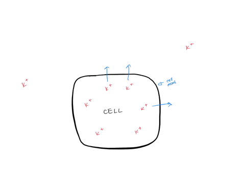 hello-a-cell-has-an-intracellular-potassium-concentration-of-120-mm-and-an-extracellular-potassium-concentration-of-4-mm-describe-concentrations-just-note-that-the-intracellular-concentration-is-30-ti