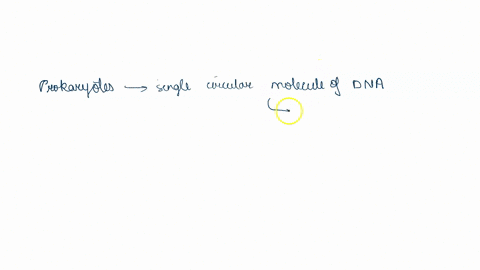 which-statement-about-dna-replication-is-true-a-eukaryotes-only-have-one-circular-chromosome-that-unwinds-at-multiple-locations-b-prokaryotes-only-have-one-origin-of-replication-to-initiate-23566