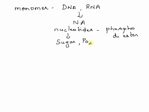 a-molecule-of-dna-or-rna-is-a-polymer-of-a-monosaccharides-c-amino-acids-b-nucleotides-d-fatty-acids-07338