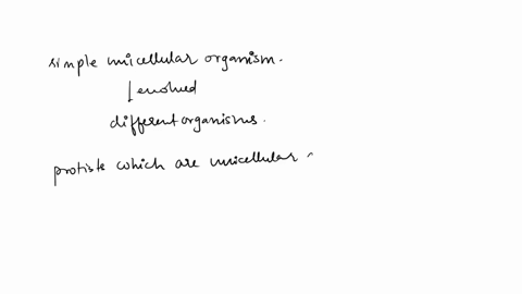 create-a-cladogramphylogentic-tree-from-the-following-table-of-characters-you-must-include-all-seven-species-in-one-cladogram-categories-can-be-used-no-more-than-twicei-39-points-species-box-06652