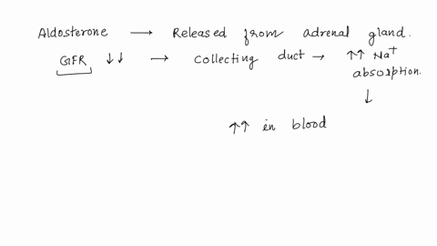 aldosterone-affects-sodium-balance-by-impacting-sodium-reabsorption-in-the-distal-nephron-if-map-andor-gfr-falls-how-will-this-system-functiongroup-of-answer-choicesincreased-levels-of-aldos-66937