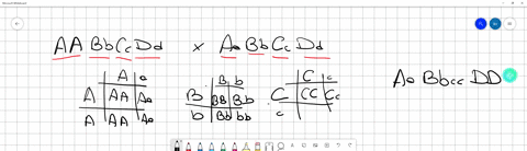 question-12-1-point-from-the-parental-cross-aabbccddx-aabbccdd-what-is-the-probability-of-obtaining-an-aabbccdd-offspring-1128-1256-132-164-view-hint-for-question-12-question-13-1-point-two-24385
