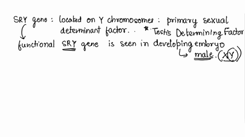 in-humans-if-an-xy-individually-had-a-selection-of-the-syr-gene-that-person-would-develop-as-a-female-because-why-why-would-it-not-be-male-why-is-it-female-please-explain-22162
