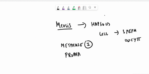 the-stages-of-meiosis-where-independent-assortment-occurs-and-crossing-over-begins-respectively-are-18185