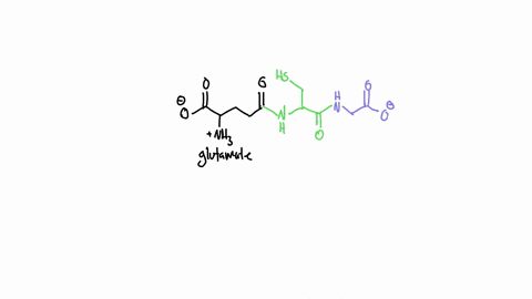 glutathione is an important peptide antioxidant found in cells system enhancement for cardiac protection: pharmacological options against oxidative stress and ferroptosis Glutathione Injections: Side Effects &