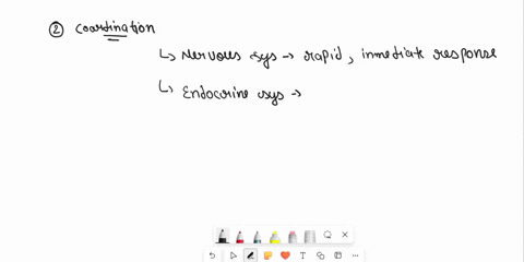 how-does-the-nervous-system-and-the-endorcine-system-work-together-26481