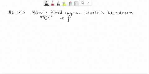 when-blood-glucose-levels-drop-which-hormone-brings-glucose-out-of-storage-to-raise-blood-glucose-levels-52163