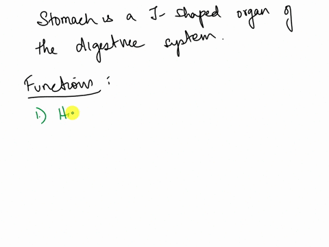 what-are-two-fundamentally-different-functions-of-the-stomach-09694