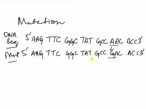 consider-the-following-dna-sequence-5-aag-ttc-ggc-tat-gcc-aac-acc-3-which-has-been-mutated-to-5-aag-ttc-ggc-tat-gcc-gac-acc-3-which-type-of-mutation-is-this-transition_-transversion-indel-tr-37808