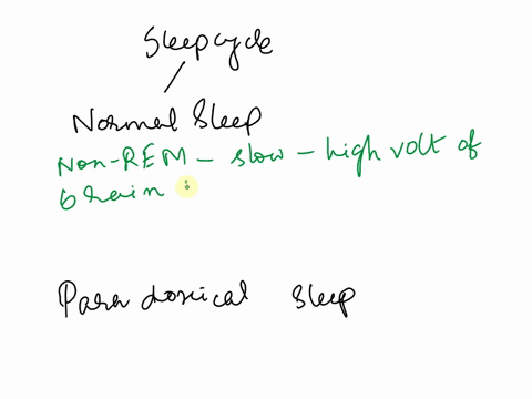 distinguish-between-normal-and-paradoxical-sleep-03455