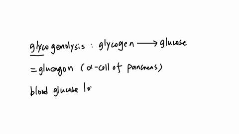 which-of-the-following-hormones-produced-by-the-pancreas-stimulates-glycogenolysis