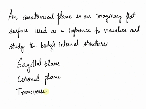 which-plane-could-be-used-to-separate-the-thoracic-cavity-from-the-abdominopelvic-cavity-select-one-a-the-coronal-plane-b-the-midsagittal-plane-c-the-parasagittal-plane-d-the-transverse-plan-32316