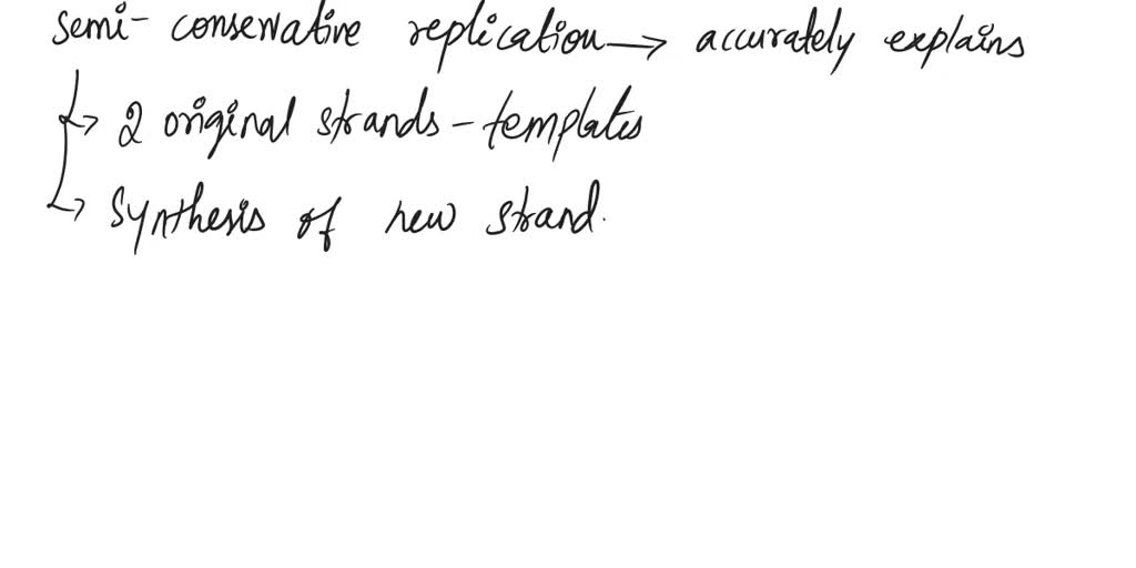 Solved: Which Pair Of Dna Strands Would Result From 