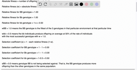 consider-a-locus-with-two-alleles-b-and-b-b-is-dominant-while-b-is-recessive-there-is-no-mutation-b-has-a-selective-advantage-relative-to-b-so-that-the-fitnesses-of-the-three-genotypes-are-b-93169