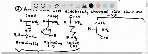 draw-the-20-common-amino-acids-and-group-them-accordingly-06468