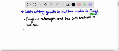 you-are-looking-at-a-white-cottony-growth-on-culture-medium-microscopic-examination-reveals-it-is-multicellular-you-can-conclude-all-of-the-following-about-this-organism-except-that-it-cukar-52047