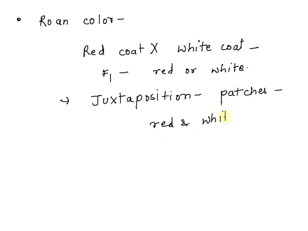 SOLVED 'In shorthorn cattle, when a cow with a solid red coat color