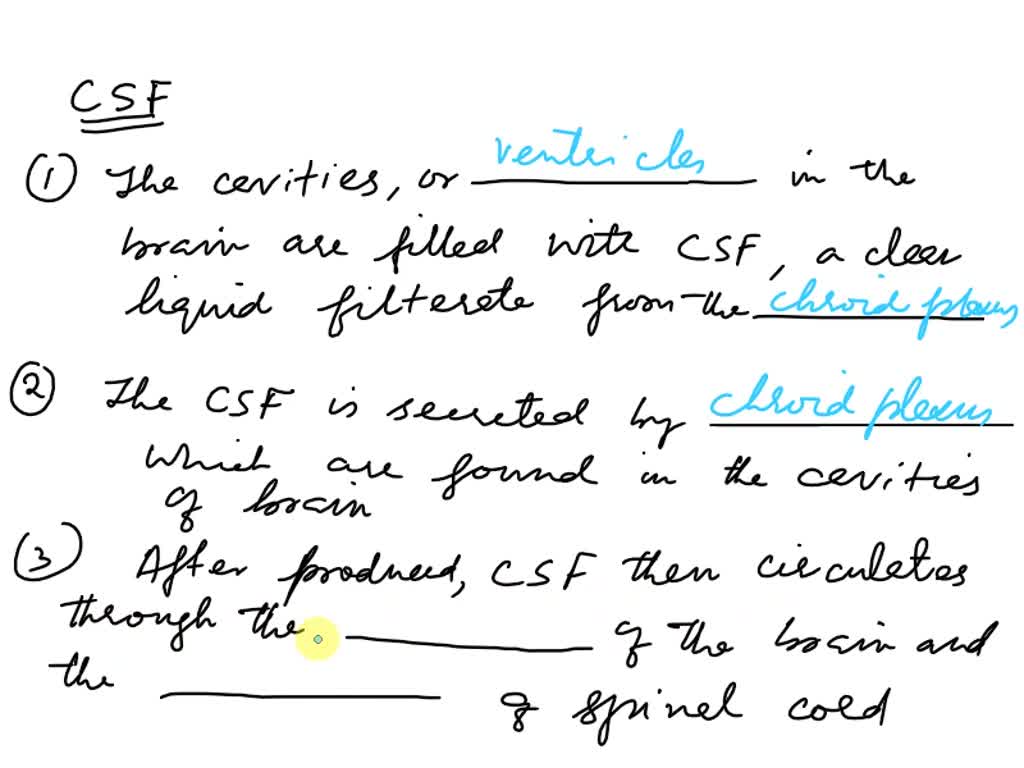 SOLVED Complete the following sentences describing cerebrospinal fluid (CSF), its production