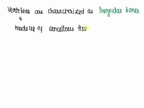 vertebrae-are-characterized-as-______________-whereas-the-parietal-bone-is-characterized-as-______________-a-long-bone-a-short-bone-b-irregular-bones-a-flat-bone-c-short-bones-an-irregular-b-79447
