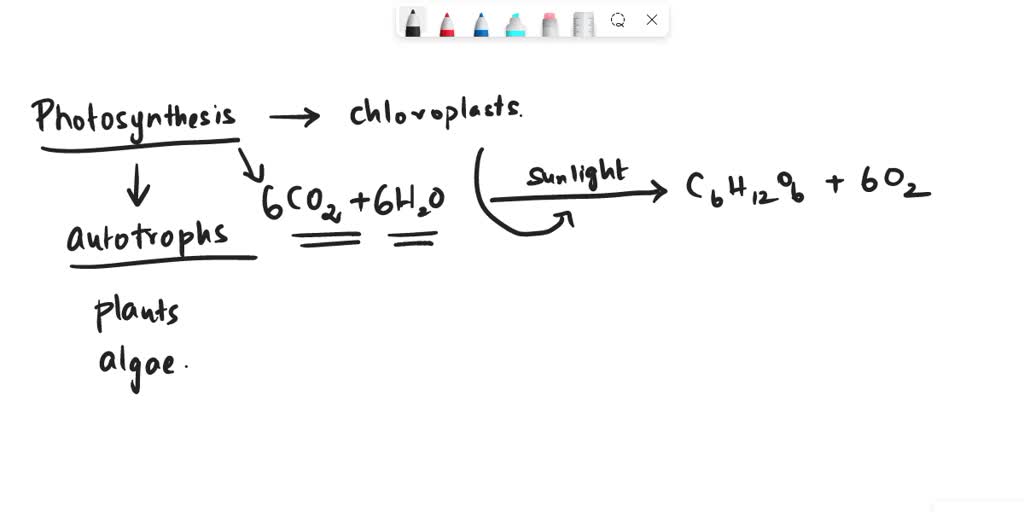 What Type Of Energy Transformation Takes Place During Photosynthesis