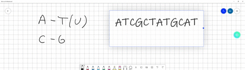 below-is-a-segment-of-dna-transcribe-the-segment-into-mrnaatcgctatgcatwrite-the-bases-for-the-mrna-strand-in-the-text-box-31573