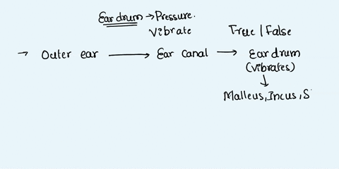 because-of-air-pressure-variations-due-to-sound-wave-enters-the-ear-this-lead-to-establish-forces-cause-the-eardrum-to-vibrate-false-true-17651