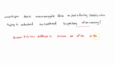 why-do-you-think-macroeconomists-focus-on-just-a-few-key-statistics-when-trying-to-understand-the-health-and-trajectory-of-an-economy-21092
