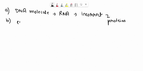 which-of-the-following-correctly-describes-eukaryotic-transcriptional-control-a-a-transcription-factor-is-a-dna-molecule-that-helps-rna-polymerase-to-bind-to-the-enhancer-of-a-specific-gene-09738