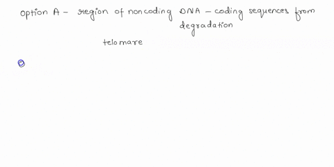 which-of-the-following-defines-a-telomere-aa-region-of-noncoding-dna-at-the-end-of-a-chromosome-that-protects-coding-sequences-from-degradation-ba-disk-shaped-structure-that-forms-and-partit-42838