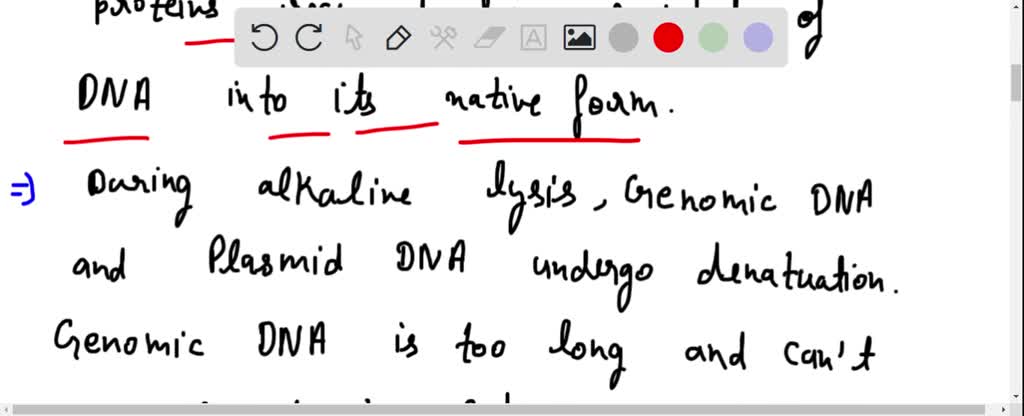 SOLVED: 5. What is the major difference between plasmid DNA and genomic ...